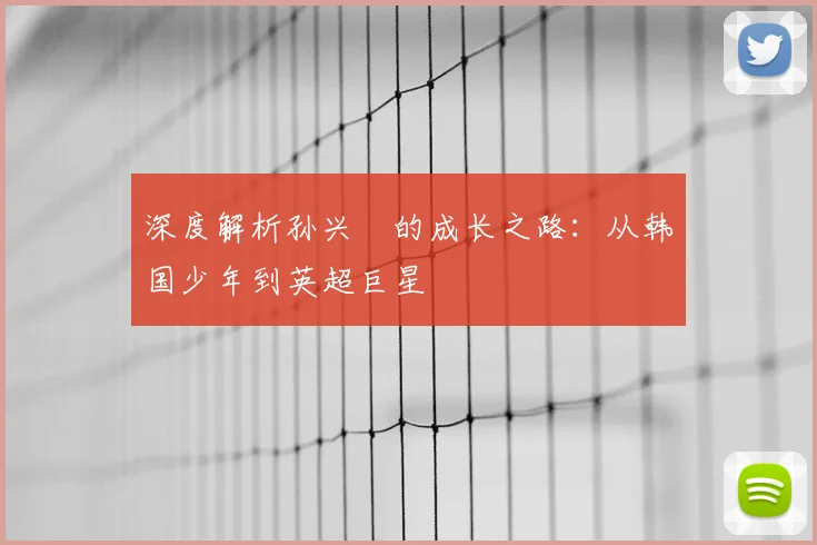 深度解析孙兴慜的成长之路：从韩国少年到英超巨星