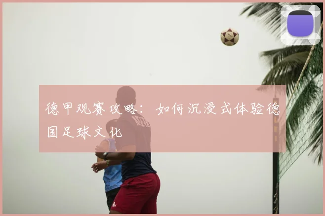 德甲观赛攻略：如何沉浸式体验德国足球文化