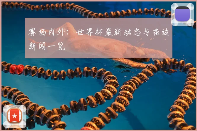 赛场内外：世界杯最新动态与花边新闻一览