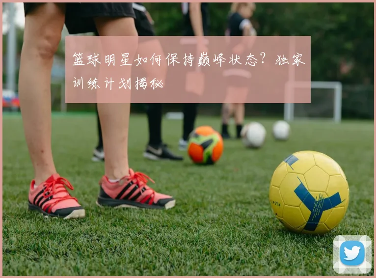 篮球明星如何保持巅峰状态？独家训练计划揭秘