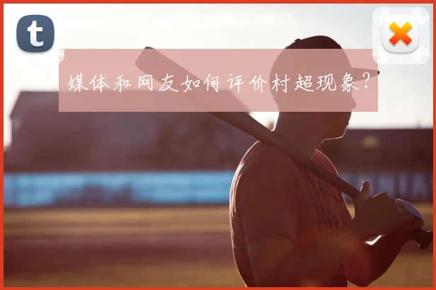 媒体和网友如何评价村超现象？